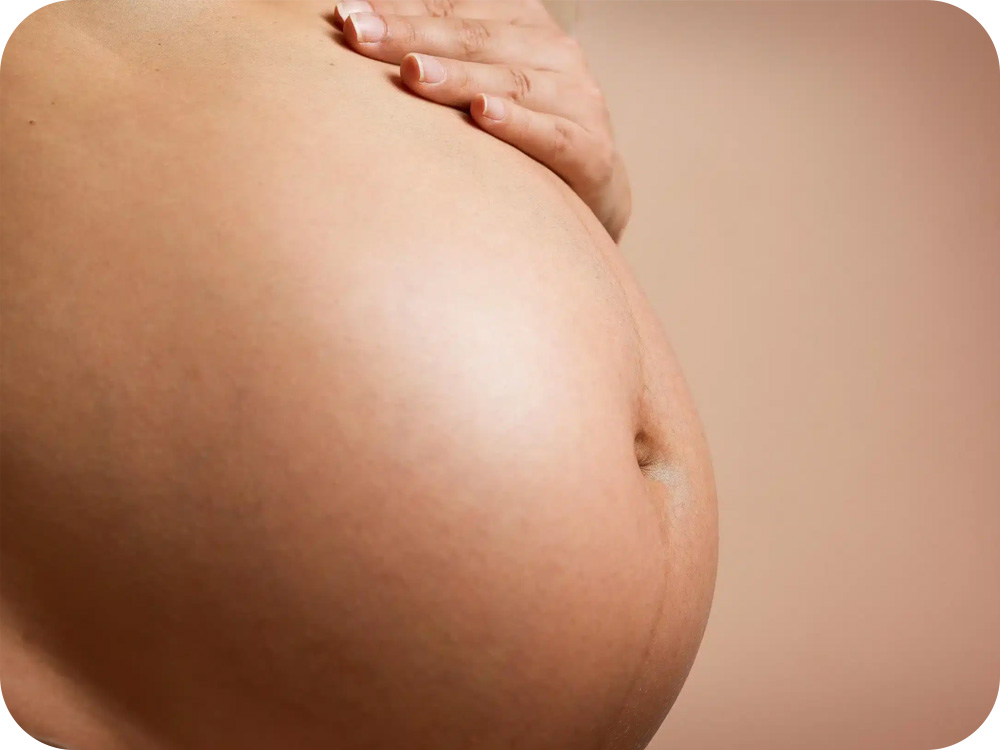 Postpartum & Silhouette Hub